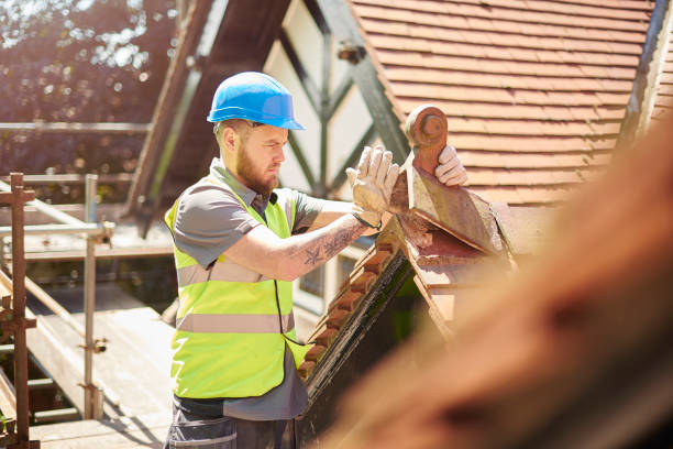 Best Residential Roofing Contractor  in Lecanto, FL